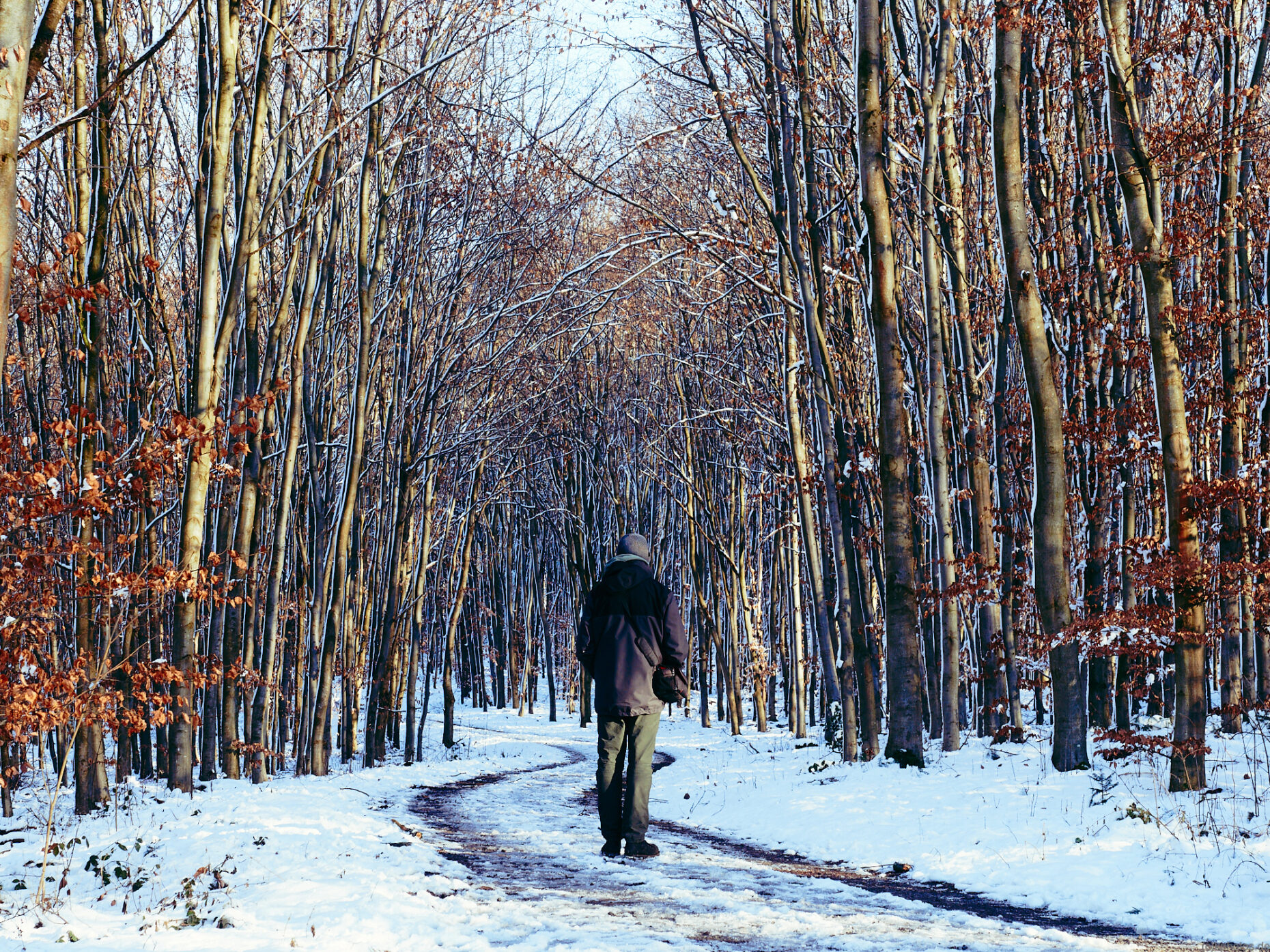 a man walks through the cold, frozen forest. the trees are red from the sun and there is snow on the path