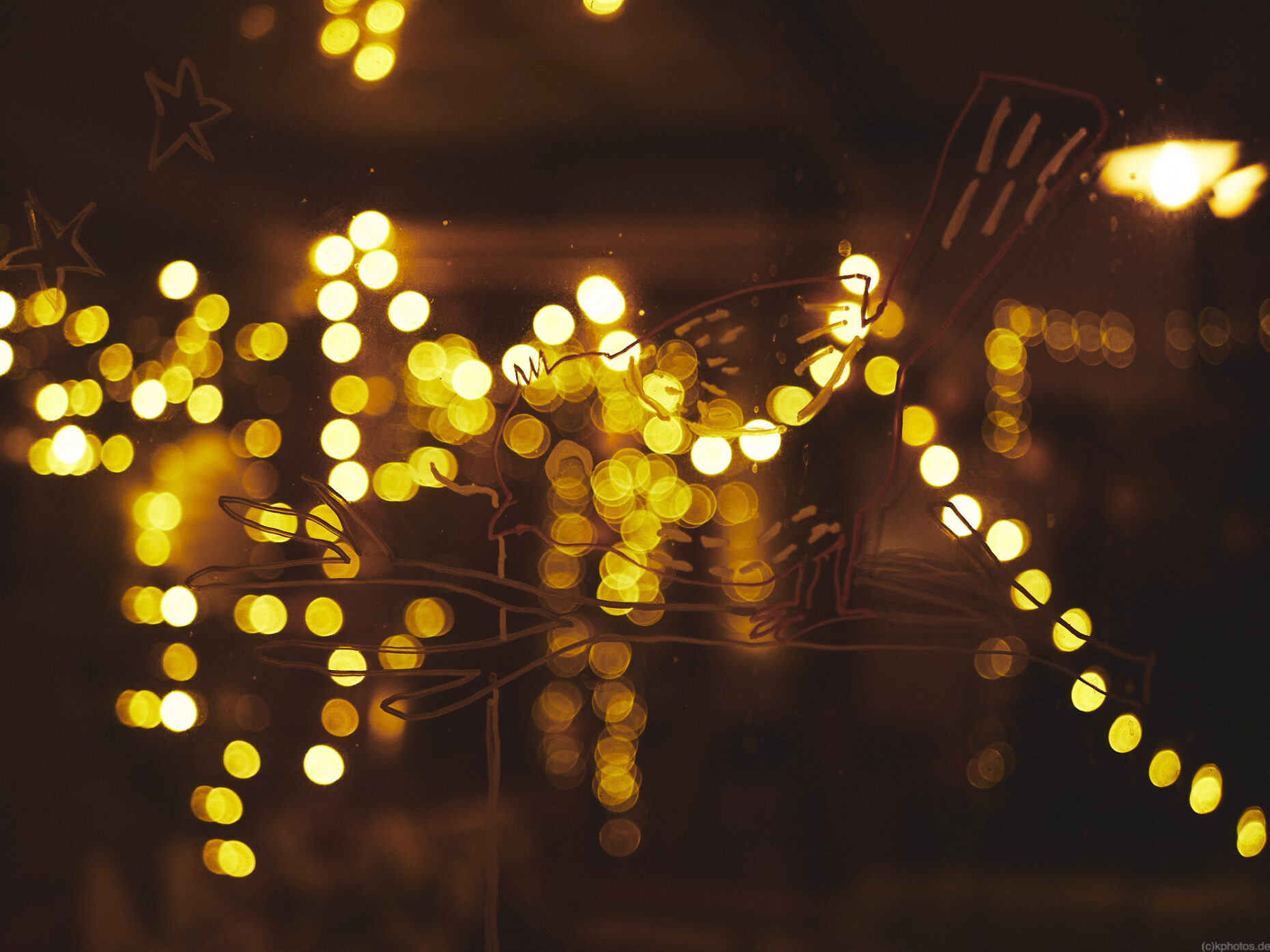 A painted bird on a window with fairy lights and lots of bokehs in the background